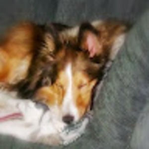 Meet your Posher, Robin